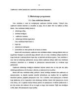 Diplomdarbs 'Mārketinga plāns', 34.