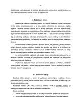 Diplomdarbs 'Mārketinga plāns', 41.