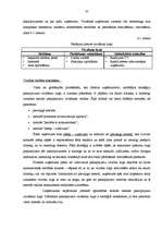 Diplomdarbs 'Mārketinga plāns', 43.