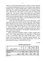 Diplomdarbs 'Mārketinga plāns', 45.