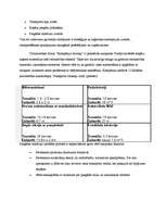 Referāts 'Loģistikas ķēde uzņēmumā', 4.