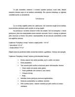 Referāts 'Loģistikas ķēde uzņēmumā', 5.