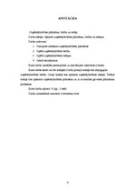 Referāts 'Uzņēmējdarbības plānošana, būtība un mērķi', 6.