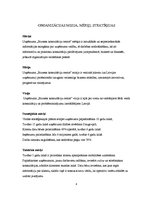 Referāts 'SIA "Biznesa Konsultāciju centrs"', 4.