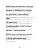 Referāts 'SIA "Biznesa Konsultāciju centrs"', 12.