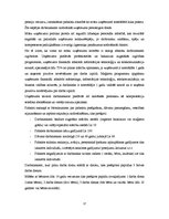 Referāts 'SIA "Biznesa Konsultāciju centrs"', 17.