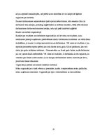 Referāts 'SIA "Biznesa Konsultāciju centrs"', 25.