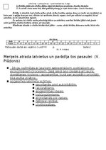 Paraugs 'Apgaismes reālisma aizsākumi latviešu literatūrā', 3.