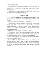 Referāts 'Cietā kurināmā katli un telpas siltumtehniskais aprēķins', 6.