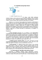 Referāts 'Gūžas locītavas funkcionālā stāvokļa izmaiņas pēc post-izometriskās relaksācijas', 16.