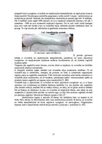 Referāts 'Gūžas locītavas funkcionālā stāvokļa izmaiņas pēc post-izometriskās relaksācijas', 17.