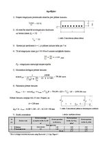 Paraugs 'Dzelzsbetona plātnes aprēķins', 1.