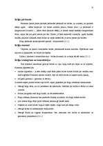 Prakses atskaite 'Optika "Fielmann"', 8.