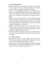 Referāts 'Vadītāja sadarbības un komandas veidošanas kompetence uzņēmuma darbības efektivi', 7.