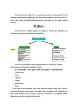 Referāts 'Veselīgs uzturs', 3.