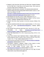 Referāts 'Mazo valstu ārpolitika un apvienotās Eiropas ideja Miķeļa Valtera politikas teor', 39.