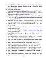 Referāts 'Mazo valstu ārpolitika un apvienotās Eiropas ideja Miķeļa Valtera politikas teor', 41.