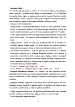 Referāts 'Apdeguma traumas', 7.