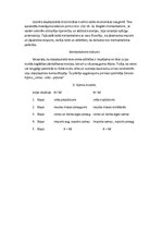 Konspekts 'Lielie ģeogrāfiskie atklājumi noveda pie merkantilisma. Merkantilisma attīstība ', 3.