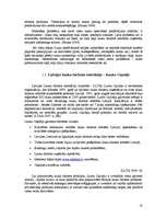 Diplomdarbs 'Mārketinga koncepcija viesu mājai „Copes”', 18.