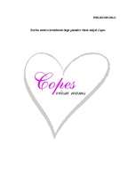 Diplomdarbs 'Mārketinga koncepcija viesu mājai „Copes”', 87.