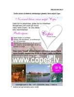 Diplomdarbs 'Mārketinga koncepcija viesu mājai „Copes”', 89.