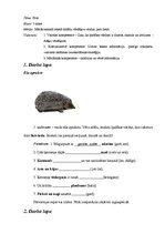 Paraugs 'Teksti bērniem latviešu valodā par tēmu "Ezis" un uzdevumi', 4.