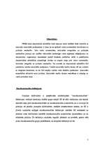 Referāts 'Mazākumtautību aizsardzība Latvijā', 3.