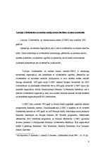 Referāts 'Mazākumtautību aizsardzība Latvijā', 6.