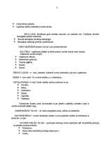 Konspekts 'Vadības teorija', 11.