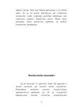 Referāts 'Cilvēktiesību aizsardzība', 8.