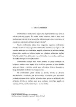 Referāts 'Tiesībsarga (ombuda) funkcijas cilvēktiesību aizsardzībā', 8.