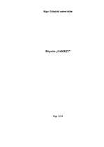 Referāts 'Sauso maisījumu rūpnīca "Sakret"', 1.