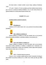 Referāts 'Sauso maisījumu rūpnīca "Sakret"', 8.