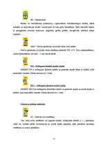 Referāts 'Sauso maisījumu rūpnīca "Sakret"', 10.