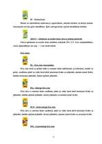 Referāts 'Sauso maisījumu rūpnīca "Sakret"', 11.