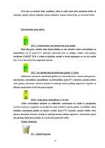 Referāts 'Sauso maisījumu rūpnīca "Sakret"', 12.