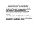 Eseja 'Draudzība internetā vai reālajā saskarsmē?', 2.