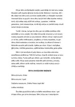 Prakses atskaite 'Prakses dienasgrāmata pirmsskolā', 11.