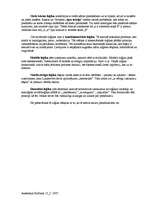 Eseja 'Modernā loģika', 2.