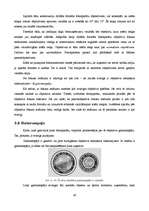 Referāts 'Foto mākslas attīstība pasaulē un Latvijā', 40.