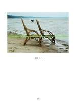 Referāts 'Foto mākslas attīstība pasaulē un Latvijā', 106.