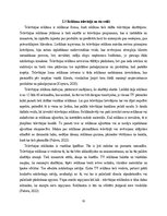 Diplomdarbs '2023. gada “Super Bowl” finālspēles reklāmās izmantotie paņēmieni', 11.