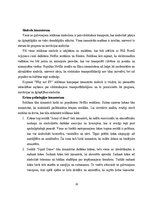 Diplomdarbs '2023. gada “Super Bowl” finālspēles reklāmās izmantotie paņēmieni', 29.