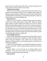 Diplomdarbs '2023. gada “Super Bowl” finālspēles reklāmās izmantotie paņēmieni', 43.