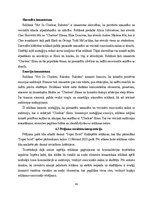 Diplomdarbs '2023. gada “Super Bowl” finālspēles reklāmās izmantotie paņēmieni', 61.