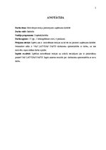 Referāts 'Motivācijas teoriju pielietojums uzņēmuma darbībā', 2.