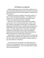 Referāts 'Rietumeiropas konservatīvās partijas. Vai Latvijas partijas ir ar līdzīgiem mērķ', 9.