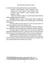 Referāts 'Personības attīstība un socializācijas process', 8.