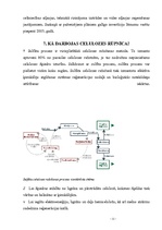 Referāts 'Sulfātcelulozes rūpnīcas iespējamā ietekme uz vidi Krustpils pagasta Ozolsalā', 11.